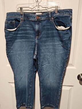 Lane Bryant Blue Denim Jeans with Gold Stitching